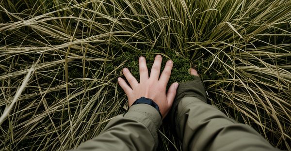 Normandie challenge : des aventures fédératrices à découvrir